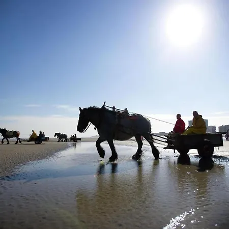 In By Sandy Beaches * Nieuwpoort