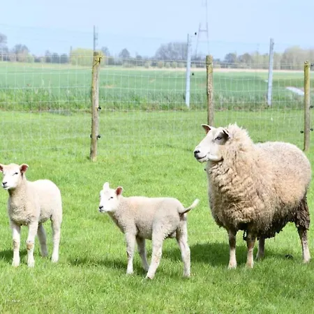 Lägenhet In By Sandy Beaches *