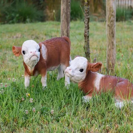 In By Sandy Beaches Nieuwpoort