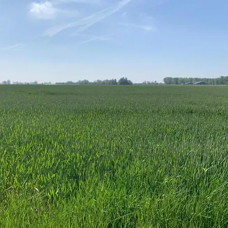 Apartmán In By Sandy Beaches Nieuwpoort