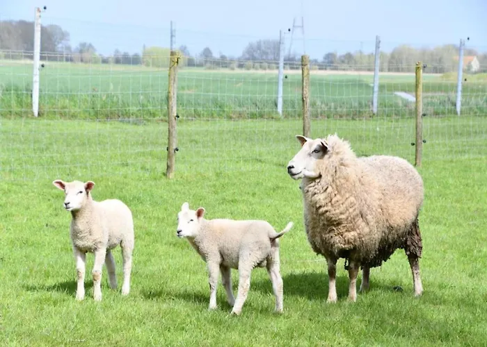 Appartamento In By Sandy Beaches *